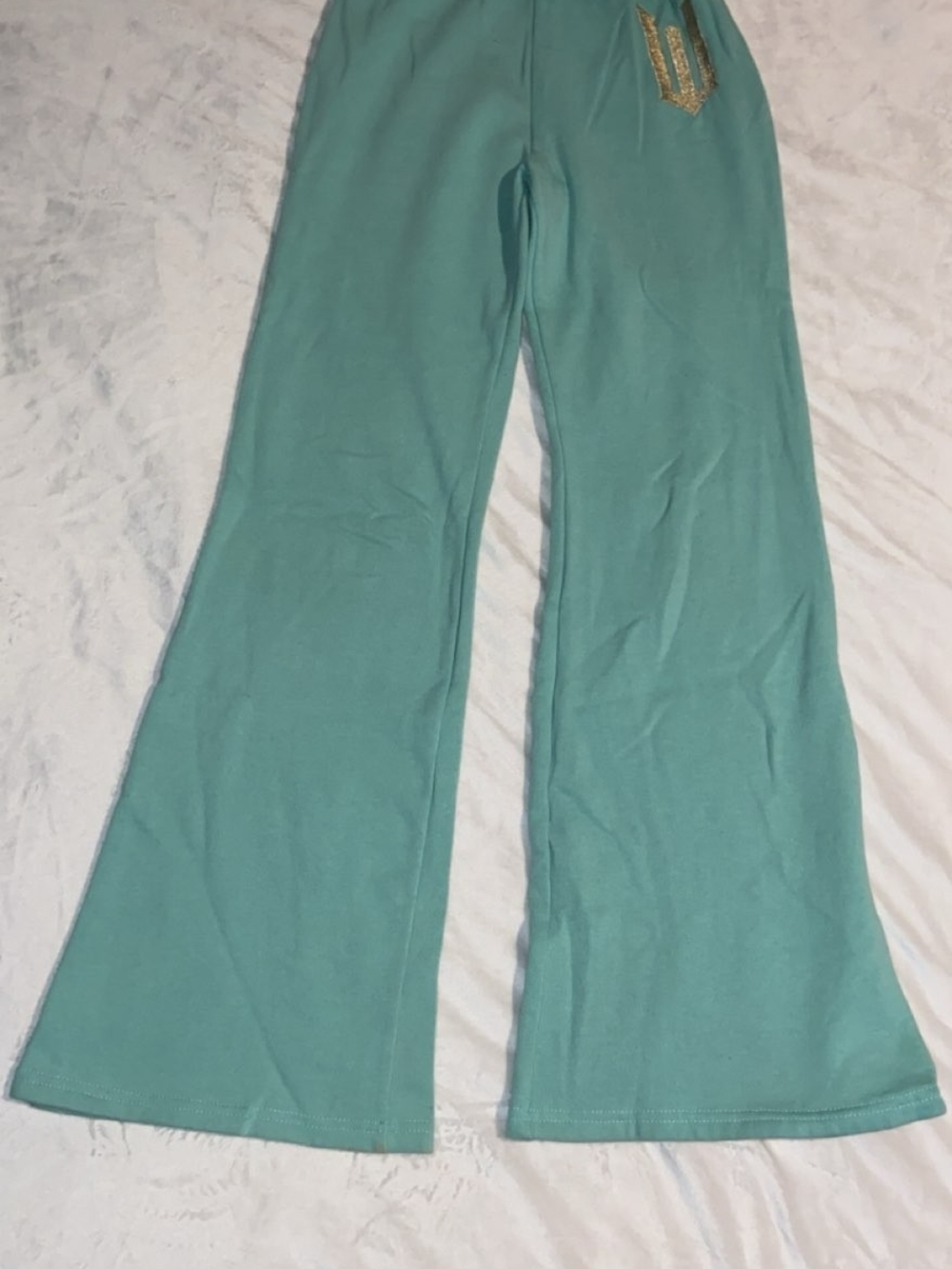 Universal Mint Green Plush Hoodie with Woven Label